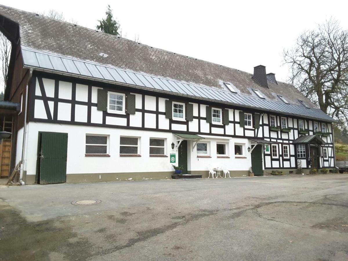 Berghof Schmitte Guest House Винтерберг Екстериор снимка